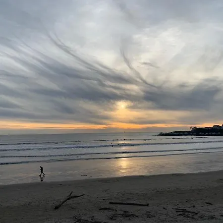 Le Petit Platane Руайян