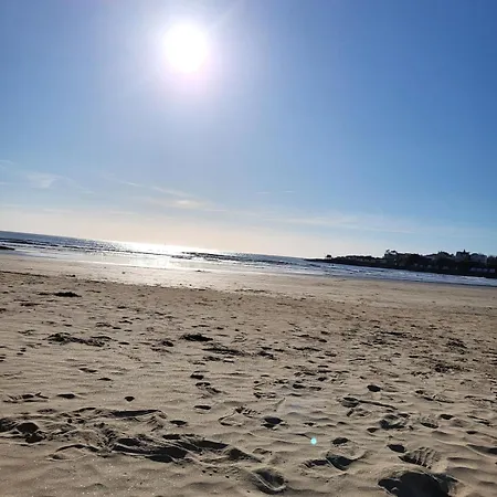 Apartment Le Petit Platane Royan